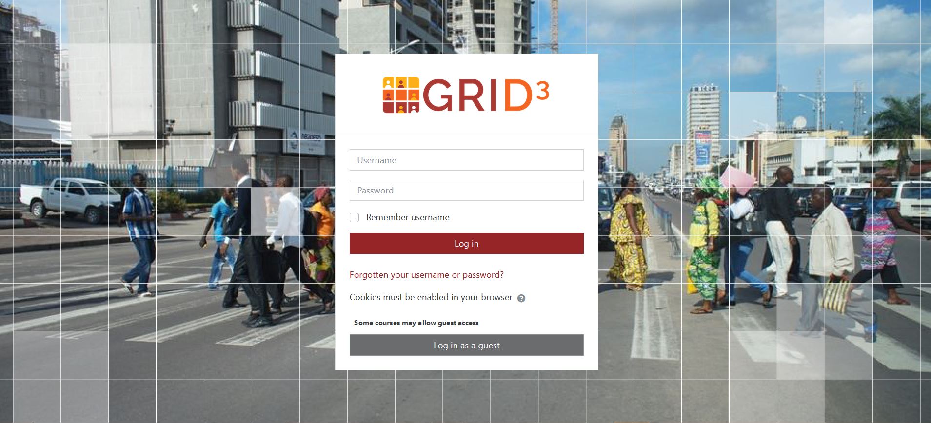 Capacity strengthening lead for the GRID3 programme